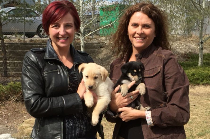 Kendra Watt, left, with Tracy Keith, executive director of the Cochrane & Area Humane Society