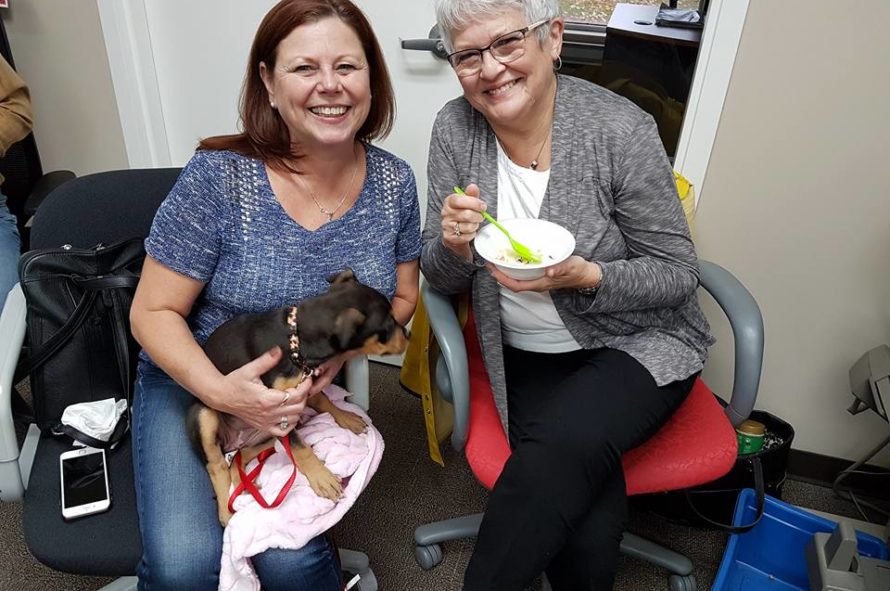 Sutton Group – Professional Realty REALTORS® enjoy the charity potluck. (Facebook photo)