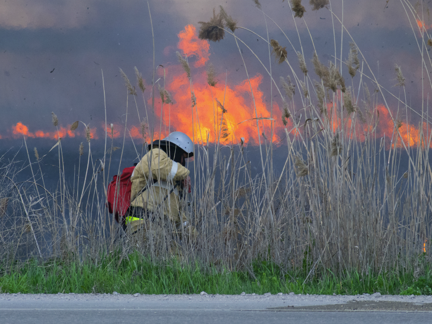 Firefighter working in field. Support banner for REALTORS Care® B.C. Fires fundraising appeal